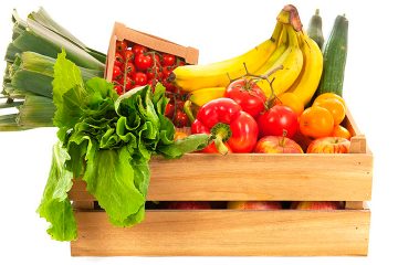 Transporte de Alimentos y Ultra Perecederos